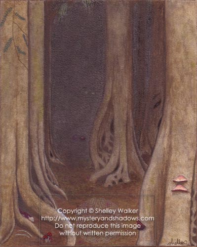 ShadowWood